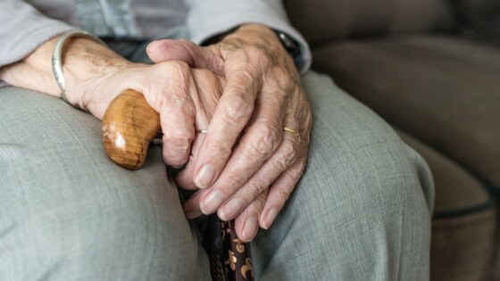 hand-3666963_1280