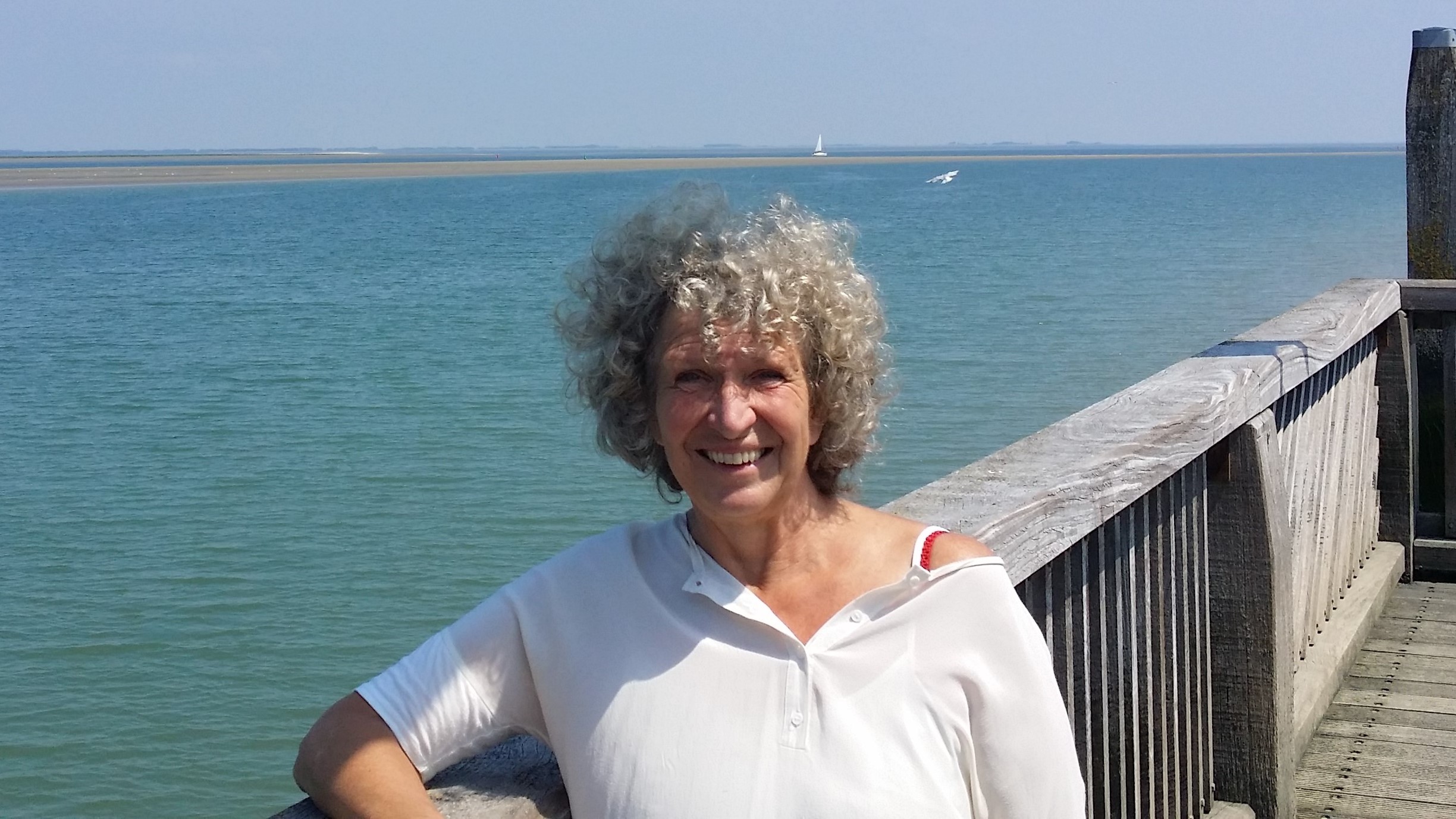 In Memoriam – Josée van de Laar