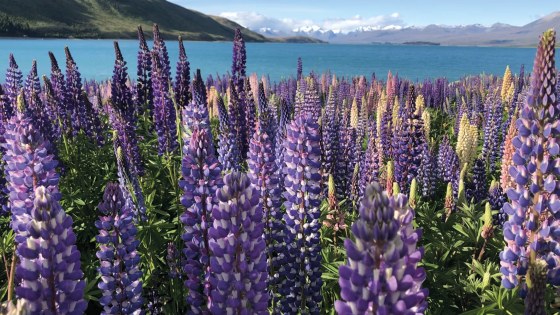 afb_IM_TravelEssence1