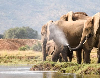 400×400-Jambo-Safari-Club