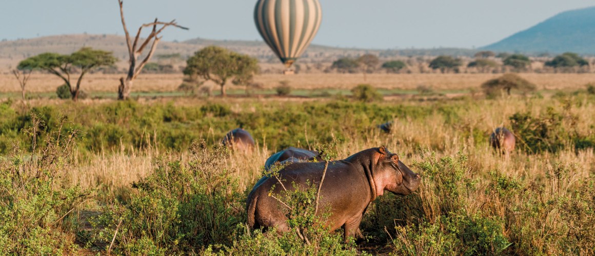 Jambo-Safari-Club-Tanzania-2