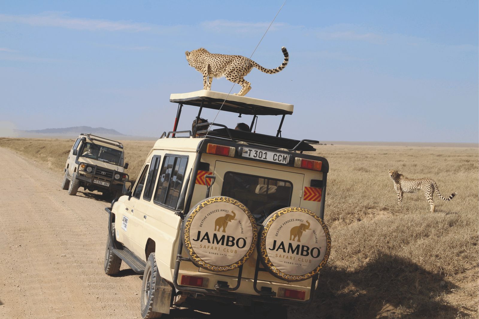 Jambo Safari Club © – Tanzania – Safari Afrika – Safari-voertuig