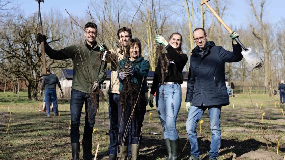 In beeld AB3 Trees for All_Plantdag Veluwe_Nysingh