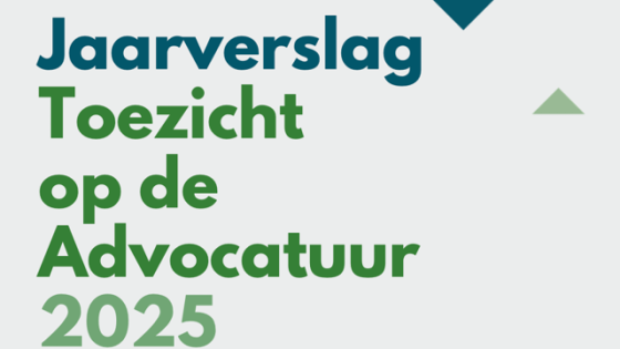 jaarverslag toezicht